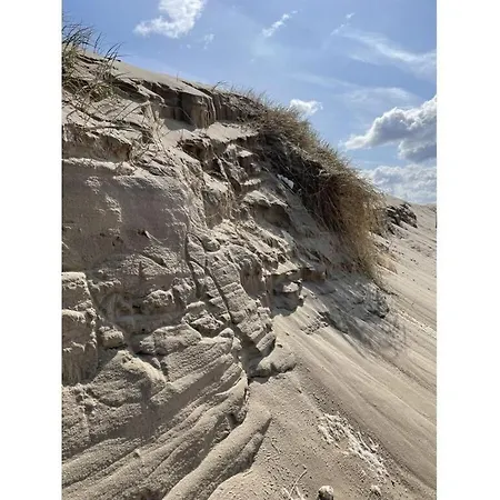 Ogentroost Comfortable * Julianadorp