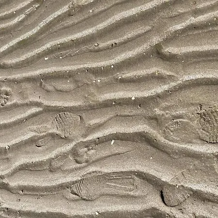 Holiday home Ogentroost Comfortable Julianadorp